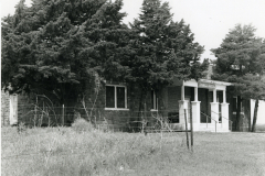 p_c_image-1