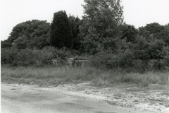 p_c_image-2