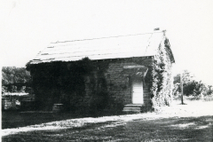 p_c_image1