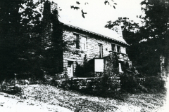 p_c_image-1