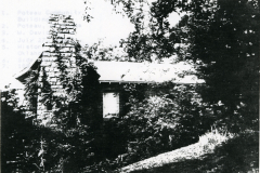 p_c_image
