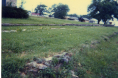 p_c_image-4