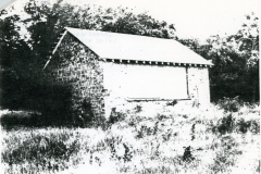 p_c_image-2