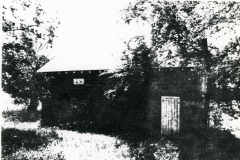 p_c_image