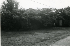 p_c_image