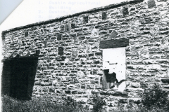 p_c_image-1