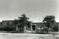 p_c_image-1