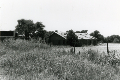 p_c_image-1