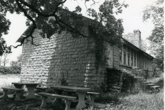 p_c_image-2