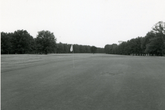 p_c_image1
