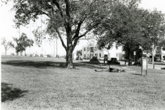 p_c_image-1