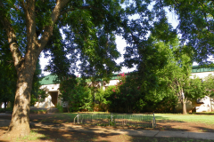 p_c_image