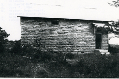 p_c_image1