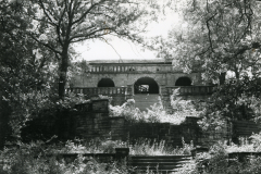 p_c_image-1