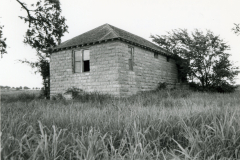 p_c_image-1