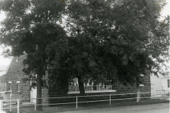 p_c_image-2