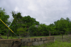 p_c_image-3