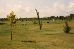 p_c_image-5