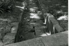 p_c_image