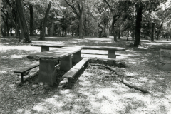 p_c_image3