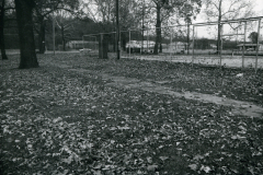 p_c_image-1