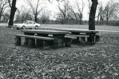 p_c_image-3