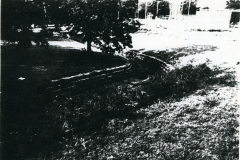 p_c_image-7