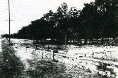 p_c_image-8