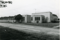 p_c_image-1