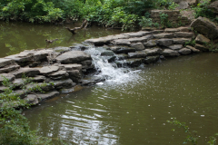 DSCN4570